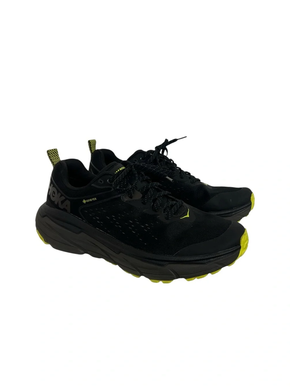 Men’s Hoka Challenger ATR 6 GTX Shoes